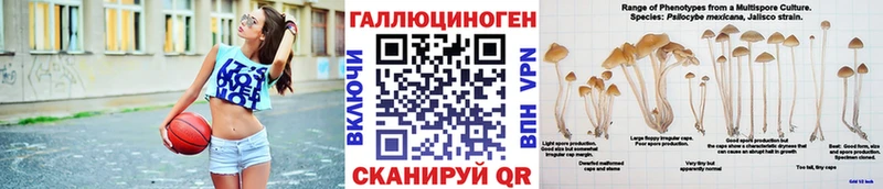 Галлюциногенные грибы Cubensis мориарти наркотические препараты Дзержинский